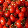 Tổng hợp các tác dụng của cà chua đối với sức khỏe