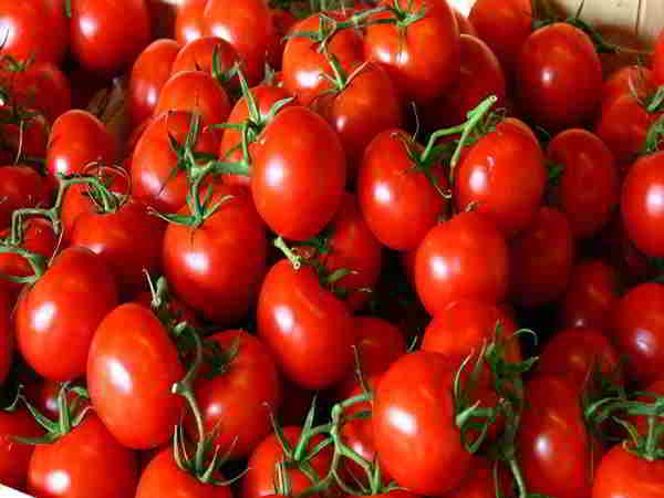 Tổng hợp các tác dụng của cà chua đối với sức khỏe