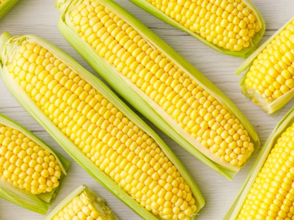 Nằm chiêm bao thấy bắp ngô có hạt đều và rất đẹp