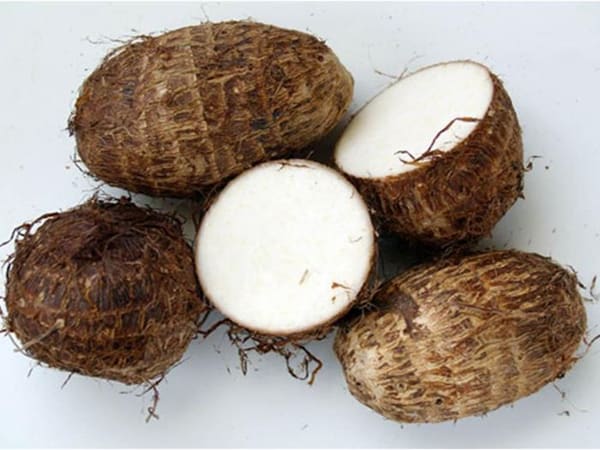 Chiêm bao thấy củ khoai môn