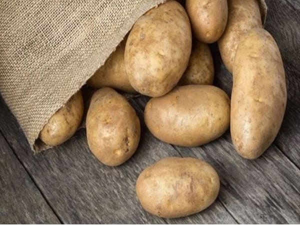 Nằm mơ thấy nấu khoai tây Nằm mơ thấy củ khoai tây