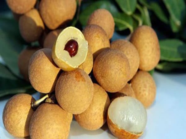 Mơ thấy quả nhãn có ý nghĩa gì? Mơ thấy quả nhãn có ý nghĩa gì