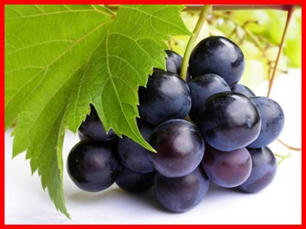 Mơ thấy quả nho có ý nghĩa gì