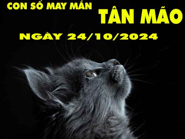 Nhận định con số tài lộc tuổi Tân Mão ngày 24/10/2024 thứ 5 hôm nay