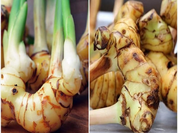 Củ riềng trị bệnh gì - giúp cải thiện sức khỏe tim mạch