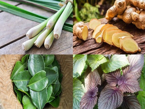 Nguyên liệu xông hơi giải cảm - cách tạo những nồi lá xông hiệu quả