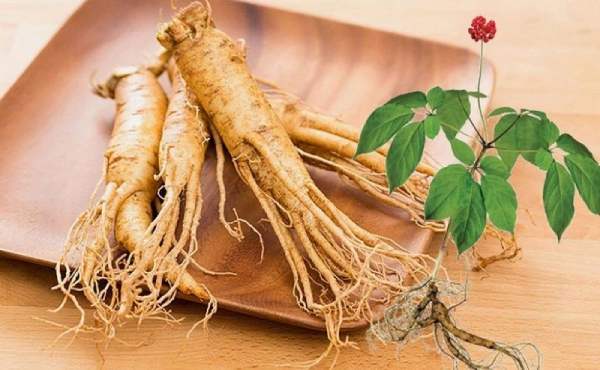 Nhìn thấy củ sâm trong khi đi đường