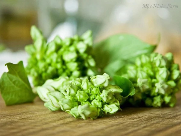 Vô tình thấy giàn hoa thiên lý có ý nghĩa gì?