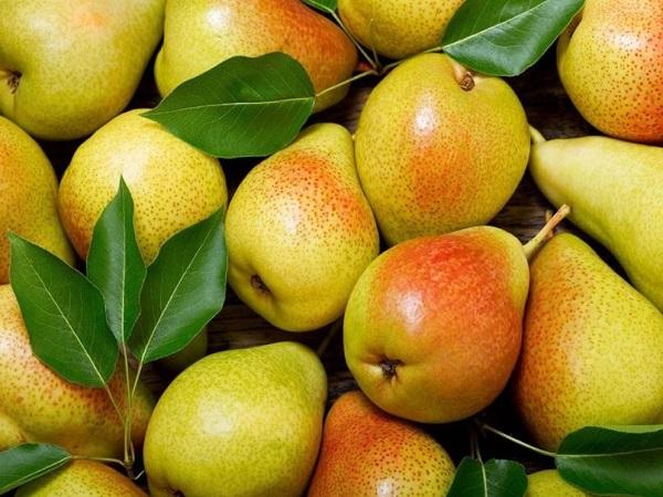 Giảm cân nên ăn hoa quả gì - Lê – Chứa nhiều nước và chất xơ