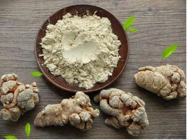 Sỏi thận có uống được tam thất không và lưu ý khi sử dụng