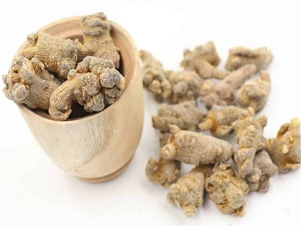 Tìm hiểu về tam thất và công dụng phổ biến