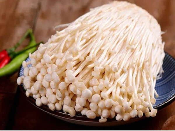 Cách nhận biết nấm kim châm tươi ngon