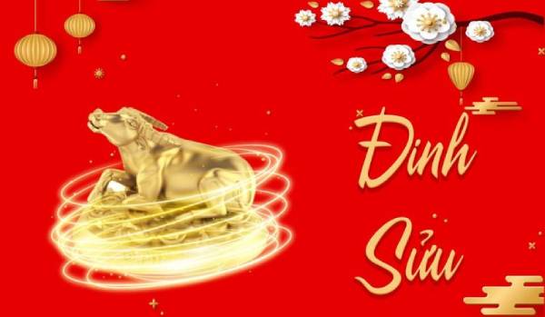 Phân tích số may mắn tuổi Đinh Sửu 28/9/2025: Số 20