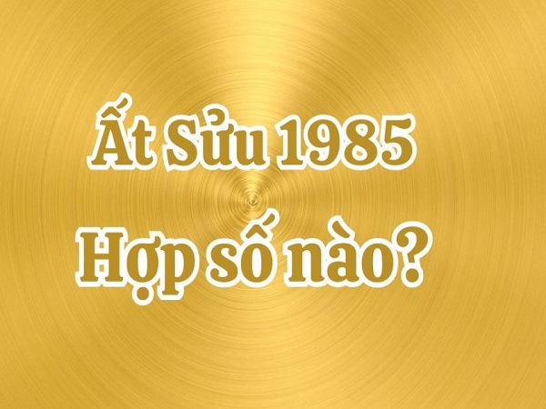 Con số may mắn tuổi Ất Sửu 4/12 giúp kích tài lộc – tình duyên – sức khỏe